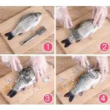 Alat Pembersih Sisik Penyisik Pengeruk Kulit Ikan Stainless — 4