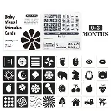 Kartu Pintar Stimulasi Edukasi Untuk Bayi Visual Cards — 8