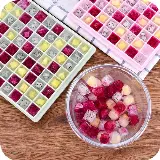 Cetakan Es Batu Agar Agar Jelly Kulkas Unik Plastik 96 Grid — 6