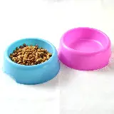 Tempat Makan Hewan Peliharaan Mangkok Makan Kucing dan Anjing — 8