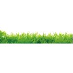 Stiker Wallpaper Dinding PVC Motif Rumput Hijau Grass - - Image 5