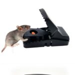 Jebakan Jepit Perangkap Tikus Model Pedal Per - Image 3