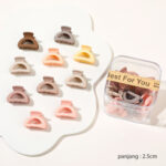 Jepitan Rambut Doff Mini Premium Dengan Box Mika 10 Pcs - MODEL 11