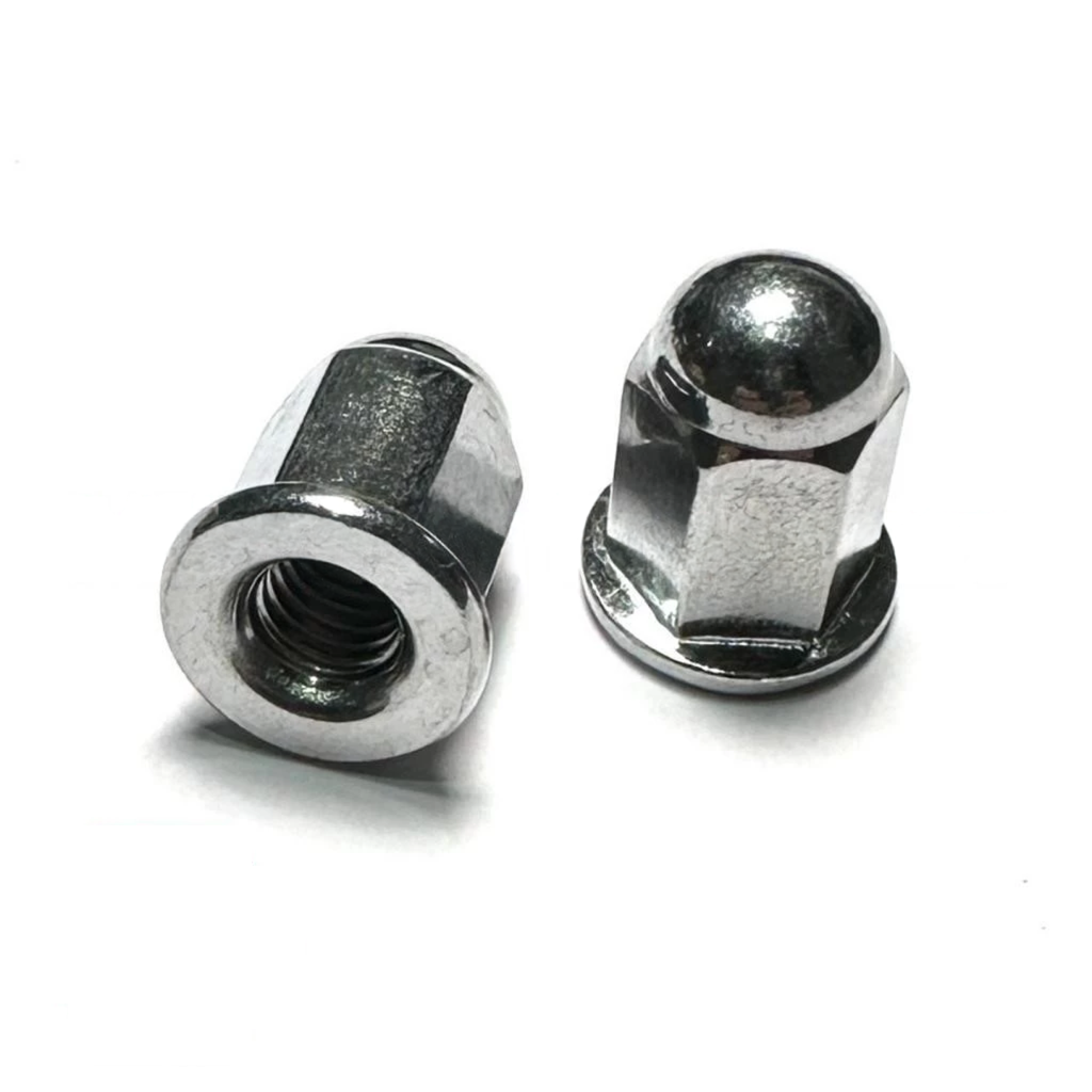 639241_1759813012565 Mur Topi Flange Cap Nut Knalpot Baja Lapisan Nikel - M6 - Image 1