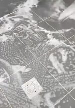 Sikat Toilet 3in1 Serbaguna Pembersih Dapat Diputar 360° Cocok untuk Kamar Mandi - Image 4