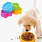 Tempat Makan Hewan Peliharaan Mangkok Makan Kucing dan Anjing - Pink - Image 4