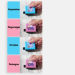 Stempel Roll Matematika Mainan Edukasi Anak Alat Belajar Berhitung - Pengurangan - Image 6